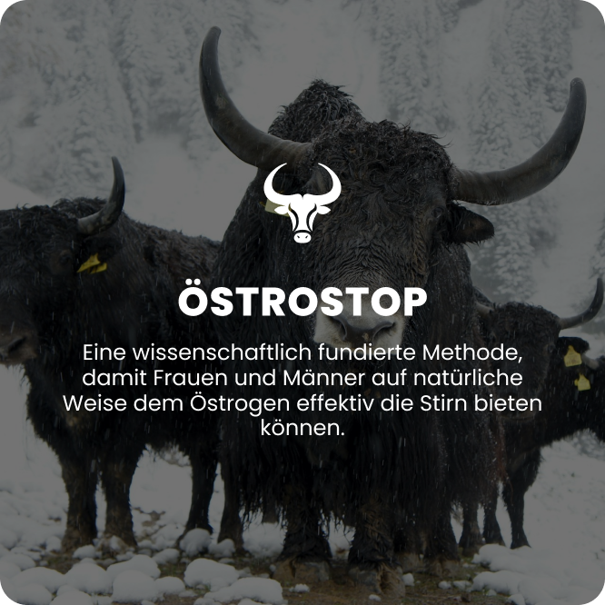 EstroStop