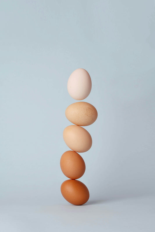 Hormonelle Balance durch Organergänzungen: Wie Rinderleber deine Gesundheit unterstützt