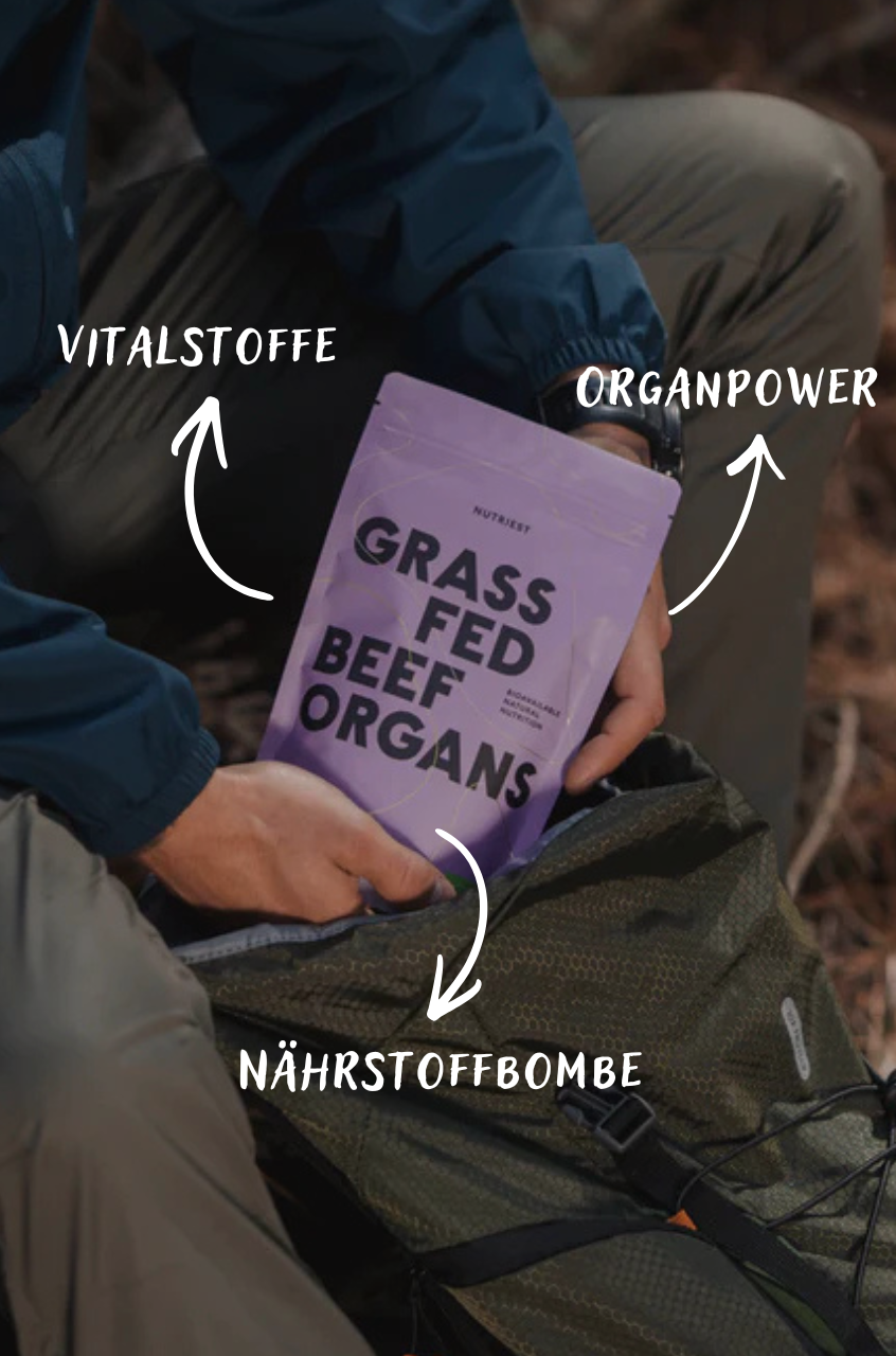 Poudre de mélange d'organes de bœuf bio déshydraté