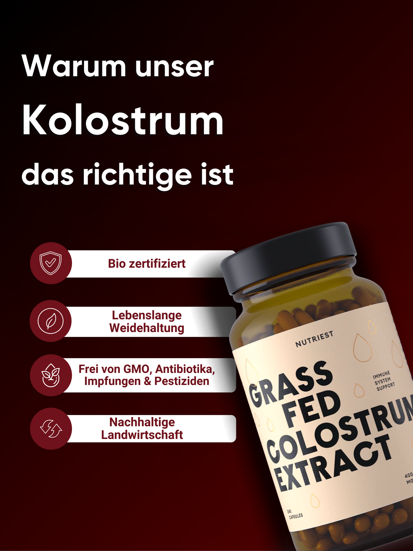 Extrait de colostrum de bœuf bio séché en gélules