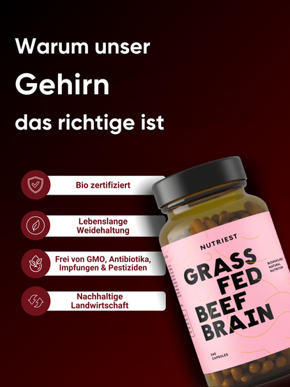 Cerveau de bœuf séché en gélules