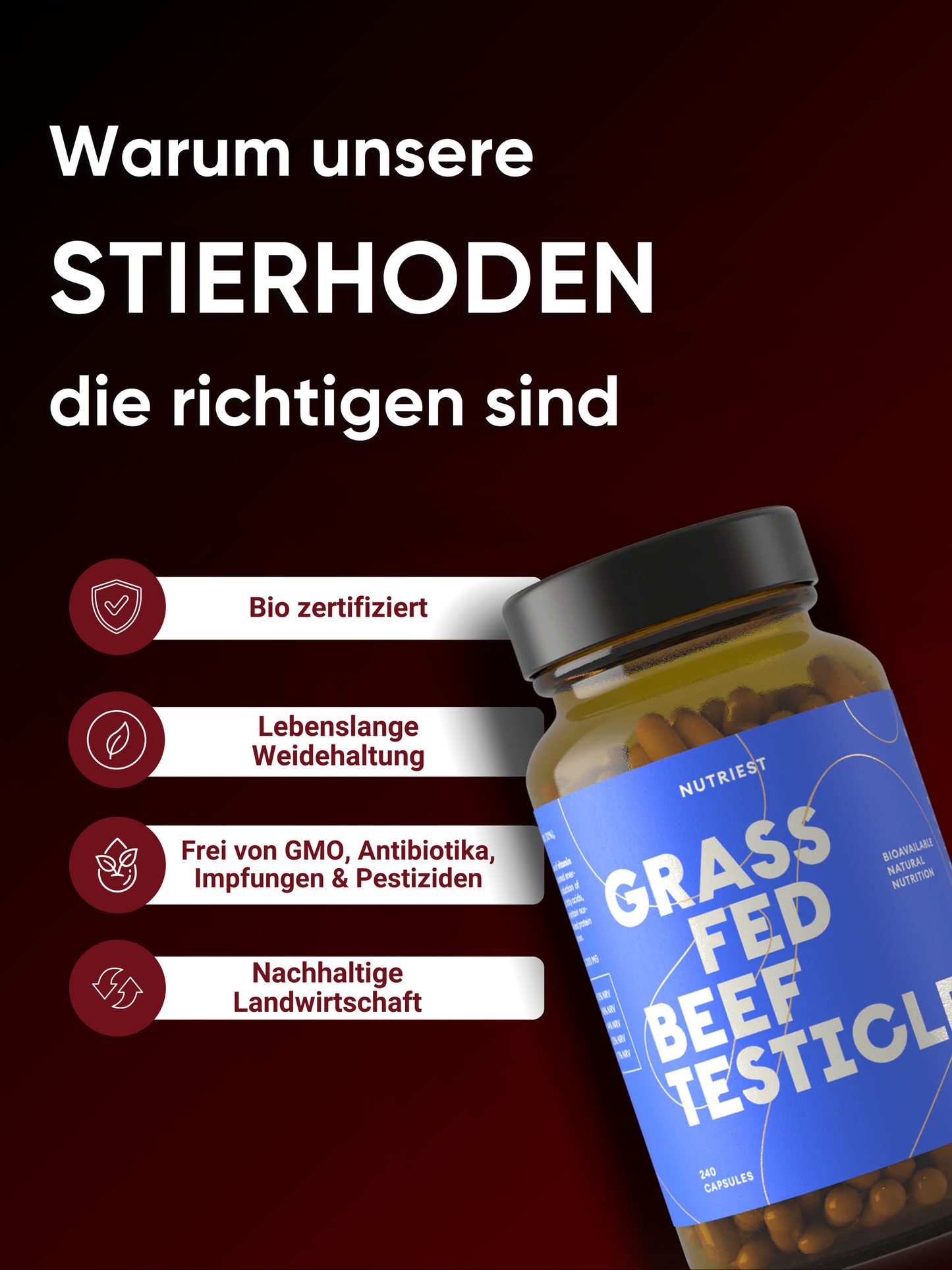 Getrocknete Bio Weiderind Hoden (Stierhoden) in praktischer Kapsel - Raw Animal