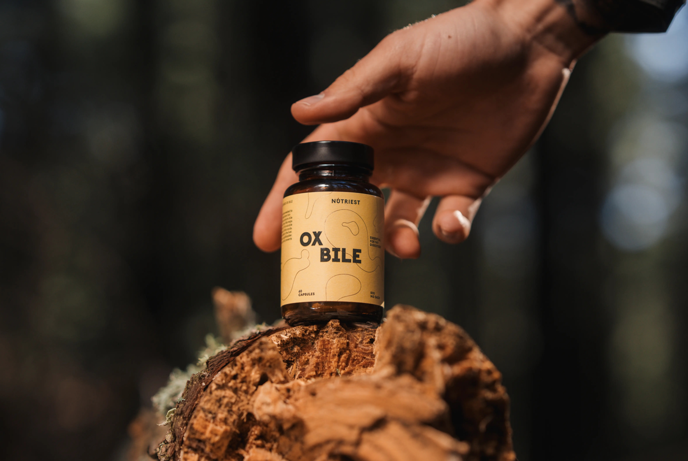 Organic pastured beef ox bile capsules