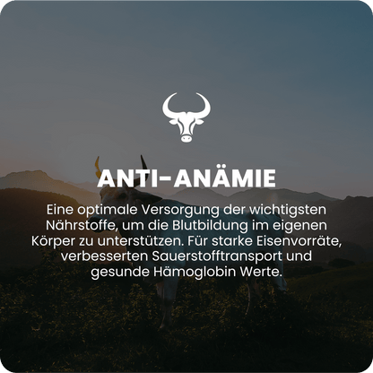Anti-Anämie Raw Animal - Raw Animal