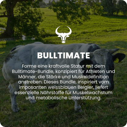 Bulltimate Übersicht