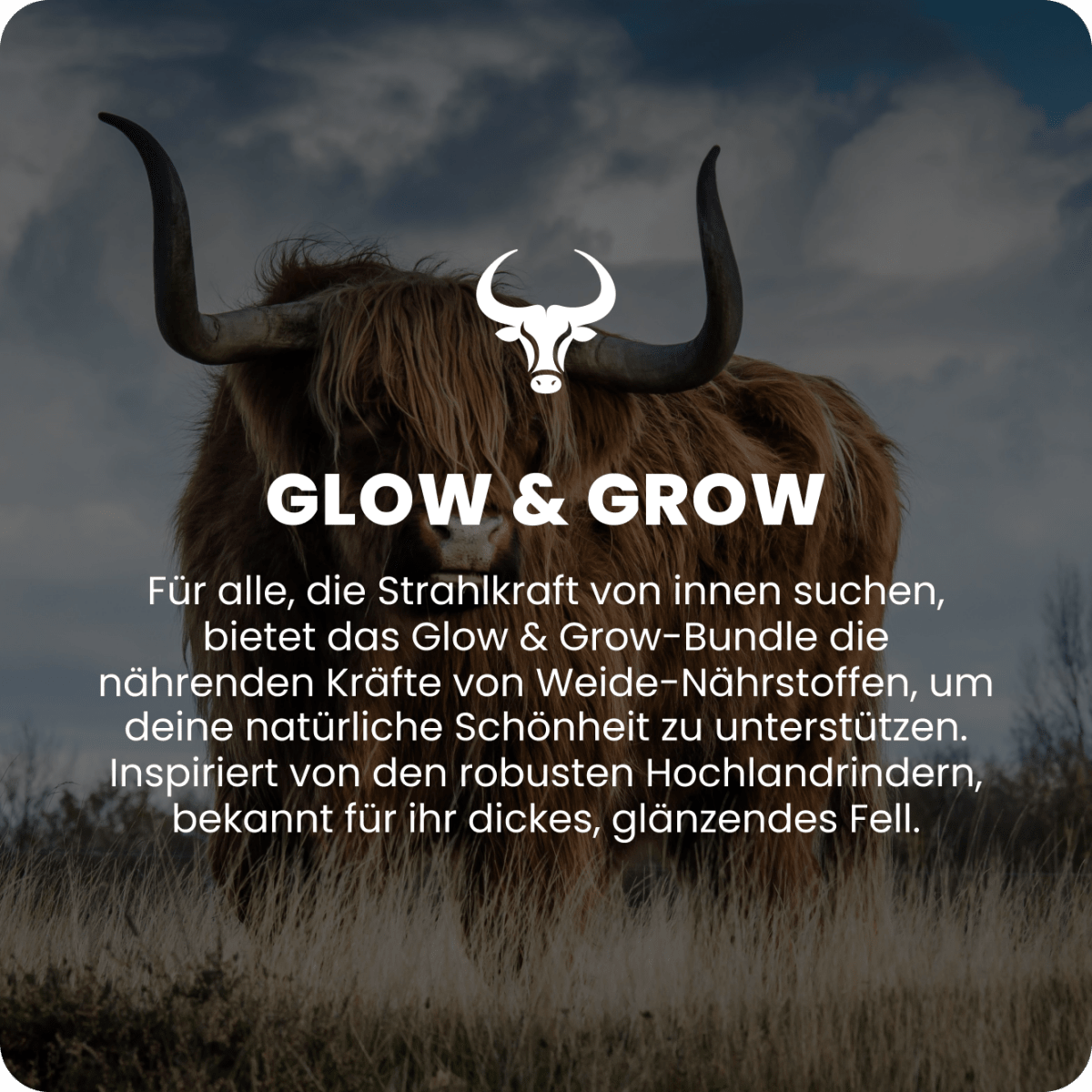 Glow & Grow Raw Animal - Raw Animal