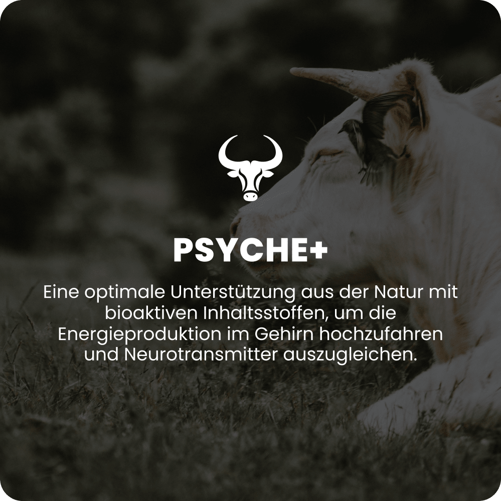 Psyche+ Raw Animal - Raw Animal
