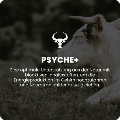 Psyche+ Raw Animal - Raw Animal